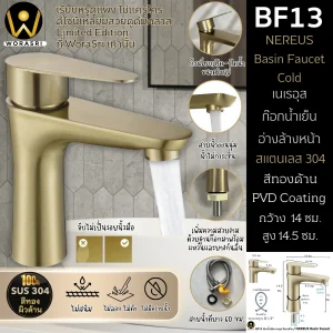 ก๊อกเดี่ยวอ่างล้างหน้าน้ำเย็นทรงเตี้ยสีทอง BF13 Brushed Gold Basin Faucet