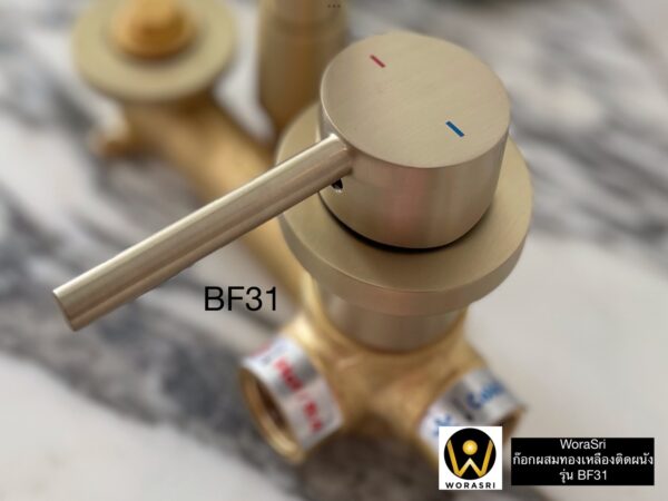 ก๊อกผสมอ่างล้­างหน้าฝังผนัง น้ำร้อนเย็น หมุนได้ 360 องศา สีทองด้าน BF31 Wall Mounted Faucet - Image 19