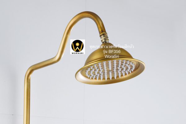 BF356 Rain and handheld shower antique brass color bathroom (5)
