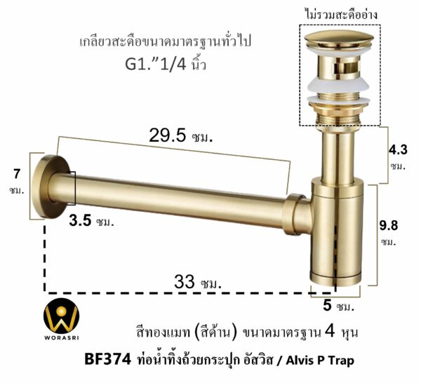 BF374 P trap brushed gold luxurious