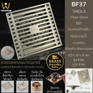 ตะแกรงดักกลิ่นสีทอง BF37 Brass Floor Drain