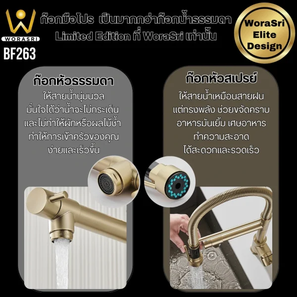 ก๊อกครัว2หัวสปริงดึงโยกสายสีทองด้าน Brushed Gold 2 Heads Pull Down Sink Faucet BF263 - Image 5