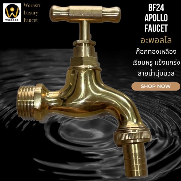 BF24 Apollo brass faucet outdoor garden and indoor bathroom kitchen room elegant design