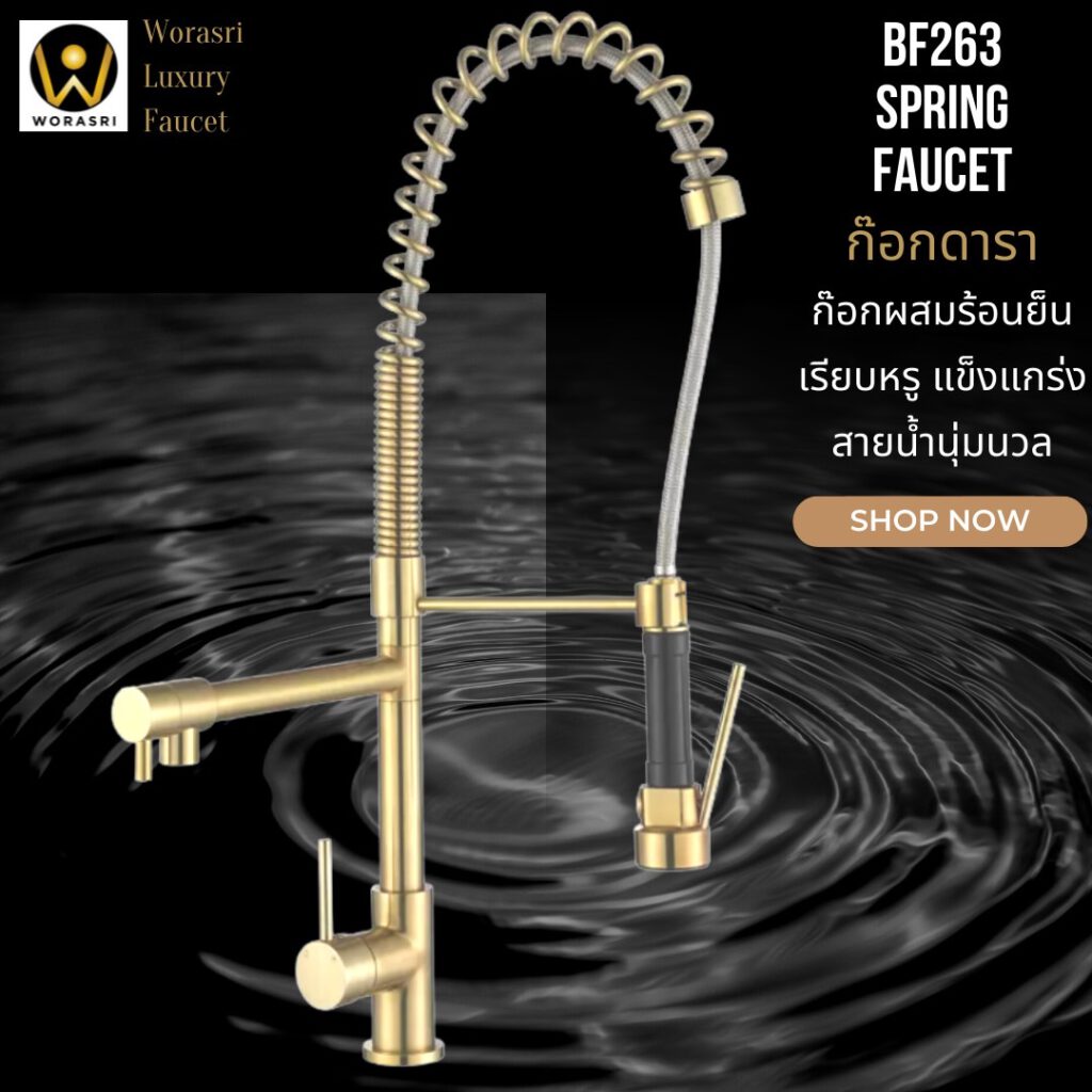 BF263 Spring faucet hot and cold kitchen elegant design gold color