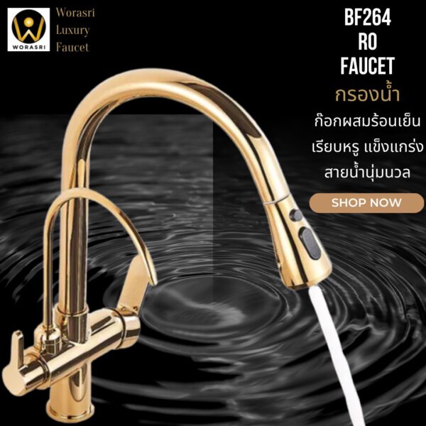 BF264 RO purified water faucet with pull out head gold color kitchen sink room