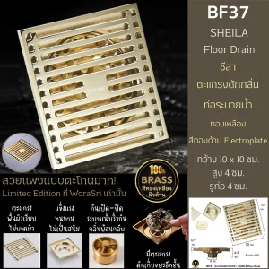 BF37 Floor Drain Sus304 brushed gold 3