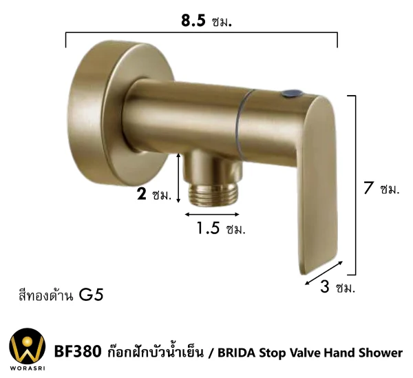 BF380 Stop Valve Hand Shower Cold 2