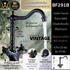 ก๊อกร้อนเย็นทองเหลืองวินเทจสีดำด้าน BF291B Black Castle Vintage Hot and Cold Faucet