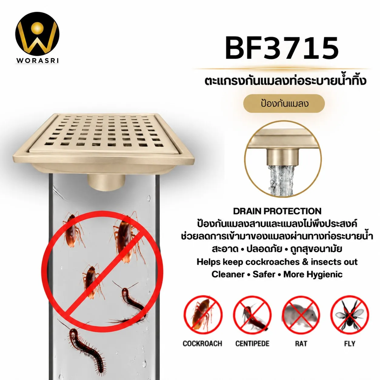 ตะแกรงกันแมลงท่อระบายน้ำทิ้ง Square Hole Shower Floor Drain BF3715 - Image 4