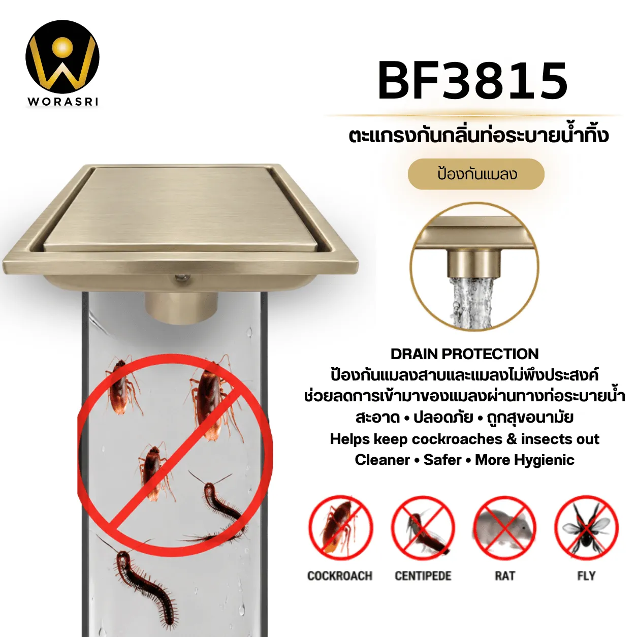 ตะแกรงกันแมลงท่อระบายน้ำทิ้ง Floor Drain BF3815 - Image 4